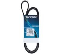 Cinghia Poly-V Dayco Ausiliaria Citroën Ford Land Rover Peugeot Volvo 6PK1744