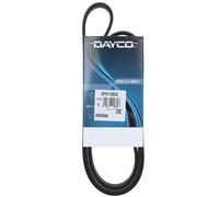 Cinghia Poly-V Dayco Ausiliaria per Alfa Romeo Audi Daihatsu Kia Seat Skoda VW