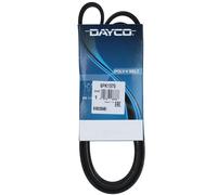 Cinghia Poly-V Dayco Ausiliaria per Audi A4 A6 BMW 5 6 7 X5 Seat Exeo 6PK1570
