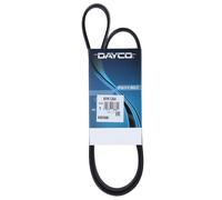 Cinghia Poly-V Dayco Ausiliaria per Audi Fiat Hyundai Kia Seat Skoda VW 6PK1264