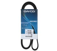 2x Dayco Cinghia Scanalata per Audi A4 B5 A6 VW Passat 3B 1.9 Tdi