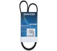 Dayco Cinghia Trapezoidale Pv 6Pk1087