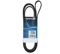 Cinghia Poly-V Dayco Ausiliaria per Auto Audi Mercedes-Benz Porsche VW 6PK2525