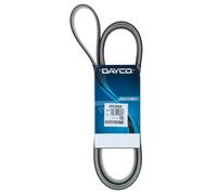 Cinghia Poly-V Dayco Ausiliaria per Auto BMW Serie 3 5 6 7 X3 X5 6PK2080S