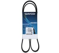 Cinghia Poly-V Dayco Ausiliaria per Auto/LCV Hyundai Kia Lexus Toyota 6PK1255