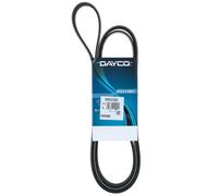 Cinghia Poly-V Dayco Ausiliaria per Veicoli Auto/LCV Land Rover 6PK2102S