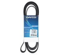 Cinghia Poly-V Dayco Ausiliaria per Auto/LCV Mercedes-Benz Classe S W140 8PK2440