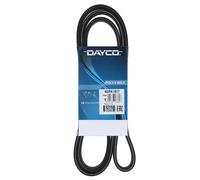 Cinghia Poly-V Dayco Ausiliaria per Bmw Serie 1 Serie 3 Serie 5 X1 X3 6DPK1817