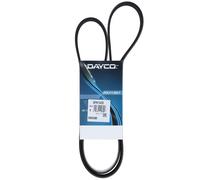 Cinghia Poly-V Dayco Ausiliaria per Chrysler PT Cruiser Ford Escort VI Fiesta