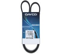 Cinghia Poly-V Dayco Ausiliaria per Citroen DS DS5 Peugeot 3008 508 6PK1080DT