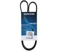 Cinghia Poly-V Dayco Ausiliaria per Fiat Lancia Honda Chrysler 5PK1155
