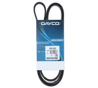 Cinghia Poly-V Dayco Ausiliaria per Hyundai Accent Getz i10 i30 Kia Rio Ceed