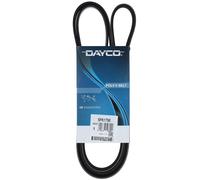 Cinghia Poly-V Dayco Ausiliaria per Hyundai Kia Mitsubishi Smart 5PK1790