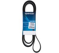 DAYCO 7PK2703 Cinghia servizi