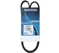 Cinghia Poly-V Dayco Ausiliaria per Nissan Citroen Alfa Romeo Peugeot Fiat Lexus