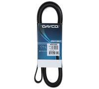 Cinghia Poly-V Dayco Ausiliaria per Veicoli Auto/LCV Audi Chrysler 6PK2490