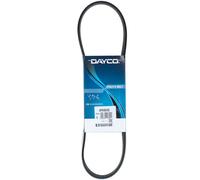DAYCO 6PK805S Cinghia servizi