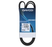 Cinghia Poly-V Dayco Ausiliaria per Veicoli Auto/LCV Ford 6PK1502S