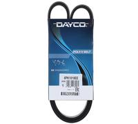 Cinghia Poly-V Dayco Ausiliaria per Veicoli Auto/LCV Ford Mazda 2 6PK1019EE