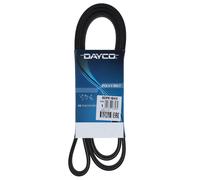 Cinghia Poly-V Dayco Ausiliaria per Veicoli Auto/LCV Volvo 6DPK1840