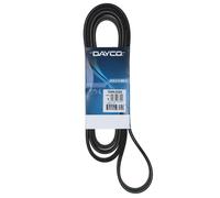 Cinghia Poly-V Dayco Ausiliaria per Veicoli Auto/LCV VW Volkswagen 7DPK2569