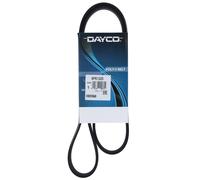 Cinghia Poly-V Dayco Ausiliaria per Veicoli Citroen Fiat Peugeot Toyota 6PK1225