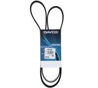 Cinghia Poly-V Dayco Ausiliaria per Veicoli Ford Tourneo Transit Connect 6PK1460