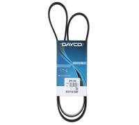 Cinghia Poly-V Dayco Ausiliaria per Veicoli Opel Mitsubishi Vauxhall 5PK1360