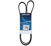 Cinghia Poly-V Dayco Chevrolet Chrysler Citroën Fiat Mini Opel Peugeot Suzuki