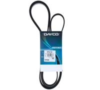 Cinghia Poly-V Dayco Chrysler Daewoo Ford Jeep Lexus Mazda Mercedes Ssangyong