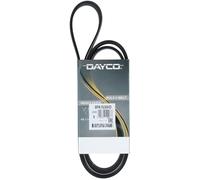 Cinghia Poly-V Dayco Irisbus Mercedes-Benz Actros Antos Arocs Atego 8PK1630HD