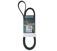 Cinghia Poly-V Dayco Originale per Camion/Bus DAF Serie CF Serie XF 8PK2076HD