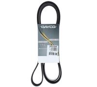 Cinghia Poly-V Dayco Originale per Camion/Bus Scania Serie 4 G P R T 8PK2130HD