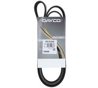 Cinghia Poly-V Dayco Originale per Veicoli Camion/Bus Iveco 504032643 6PK1610HD