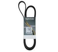 Cinghia Poly-V Dayco Originale per Veicoli Camion/Bus Scania Serie 4 8PK2120HD