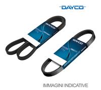 Cinghia Poly-V Dayco Originale per Veicoli Camion/Bus Scania Serie R 10PK1155HD