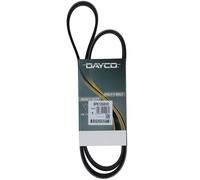 Cinghia Poly-V Dayco Originale per Veicoli Camion/Bus Volvo Serie FH 8PK1260HD