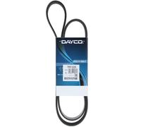 Cinghia Poly-V Dayco Originale per Veicoli LCV Iveco Daily III IV V VI 7PK1322S