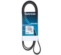 Cinghia Poly-V Dayco per Alfa Romeo Citroën Fiat Ford Peugeot Volvo VW e altri