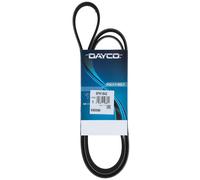 Cinghia Poly-V Dayco per Alfa Romeo Fiat Ford Lancia Mazda Toyota Volvo 6PK1842