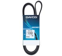 Cinghia Poly-V Dayco per Audi Citroën Fiat Lancia Peugeot Seat Skoda VW 6PK1736
