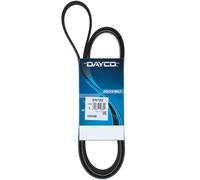 Cinghia Poly-V Dayco per Auto Chrysler Dodge Fiat Ford Infiniti Lancia Renault