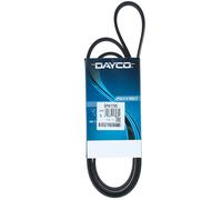 Cinghia Poly-V Dayco per BMW Citroën Fiat Ford Lancia Mazda Opel Peugeot Toyota