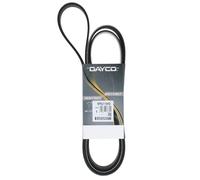 Cinghia Poly-V Dayco per Camion/Bus Freightliner FL 60 FL 70 M 2 8PK2110HD
