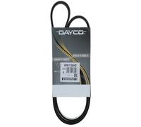 Cinghia Poly-V DAYCO 6PK1120HD