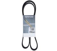 Cinghia Poly-V Dayco per Camion/Bus Renault Trucks Scania Volvo 10PK1487HD