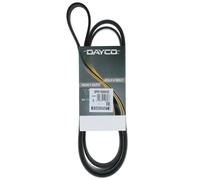 Cinghia Poly-V Dayco per Camion/Bus Scania Serie G P R T Volvo Serie B 8PK1890HD