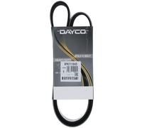 DAYCO 8PK1110HD Cinghia servizi