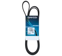 Cinghia Poly-V Dayco per Chrysler Daewoo Lexus Mercedes Opel Ssangyong Vauxhall