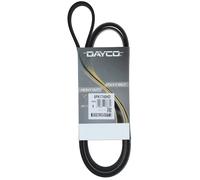 Cinghia Poly-V Dayco per Freightliner Century Columbia FLD Classic 6PK1740HD